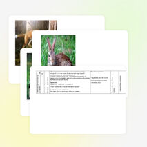 Нетрадиционный урок развития речи и ознакомления с окружающим миром «Путешествие по лесу» в 1-м классе