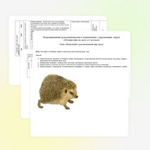 Нетрадиционный урок развития речи и ознакомления с окружающим миром «Путешествие по лесу» в 1-м классе