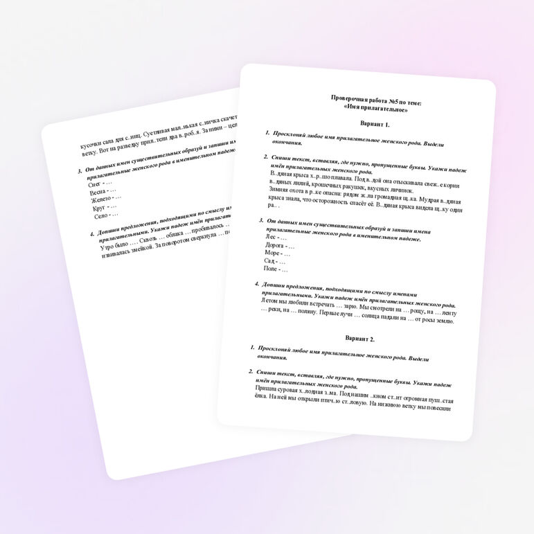 Проверочная работа по теме: "Правописание падежных окончаний имен прилагательных женского рода"
