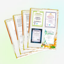 Наличие методических публикаций отражающих сущность педагогического опыта