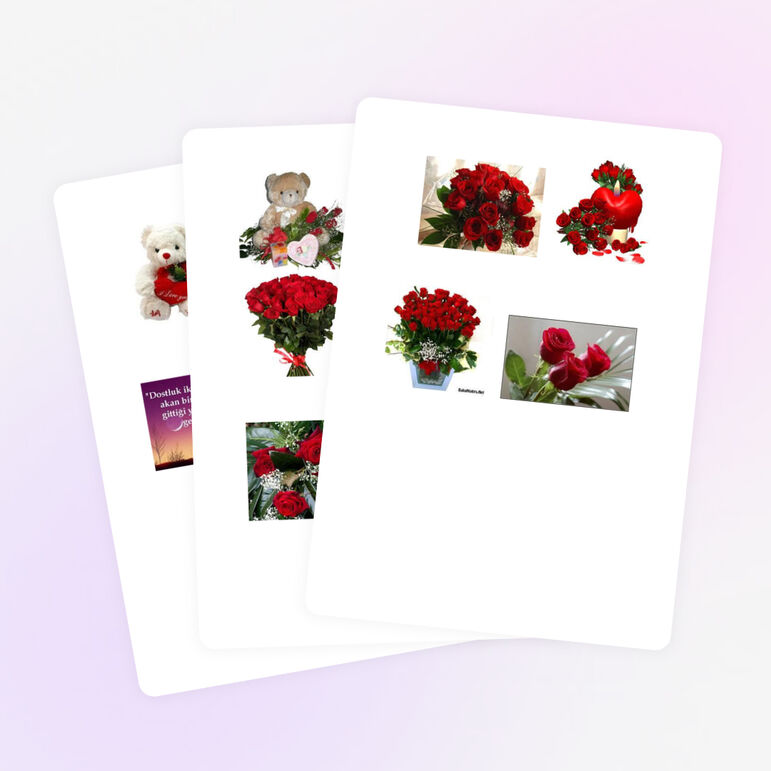 Quşlar haqqında geniş məlumat.