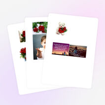 Quşlar haqqında geniş məlumat.