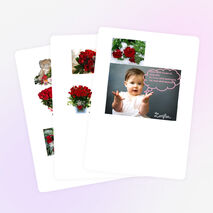 Quşlar haqqında geniş məlumat.