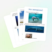 Проект ученика 1 класса по окружающему миру "Это интересно!"