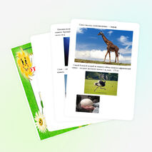 Проект ученика 1 класса по окружающему миру "Это интересно!"