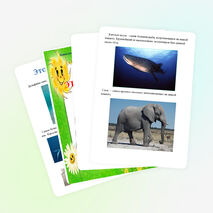 Проект ученика 1 класса по окружающему миру "Это интересно!"