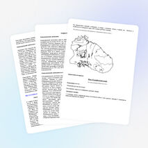 «Меры по сохранению и рациональному использованию ресурсов литосферы» 6 класс
