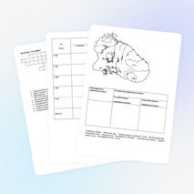 «Меры по сохранению и рациональному использованию ресурсов литосферы» 6 класс