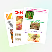 Страницы календаря природы для детей 1-4 классов