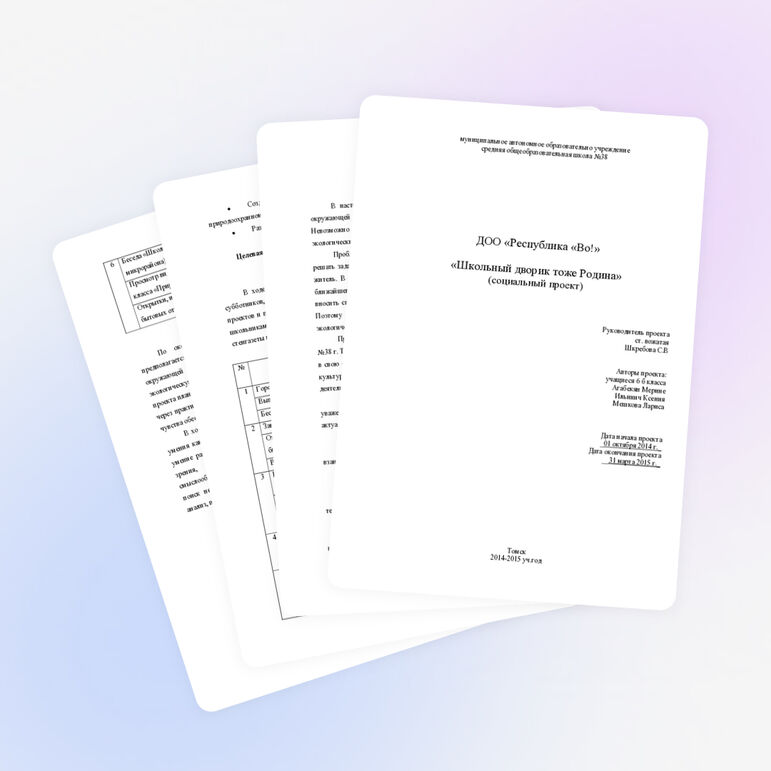 Социальный проект "Школьный дворик тоже Родина"
