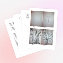 Мастер-класс «Многообразие техник рисования пером»