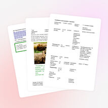 «Внешнее и внутреннее строение земноводных». 8 класс / коррекционная школа /