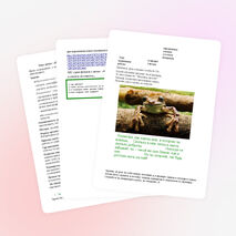 «Внешнее и внутреннее строение земноводных». 8 класс / коррекционная школа /