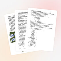 Урок русского языка по теме