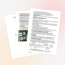 Урок русского языка по теме