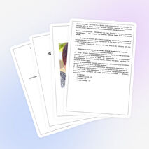 Классный час "Дневник Агунды Ватаевой"