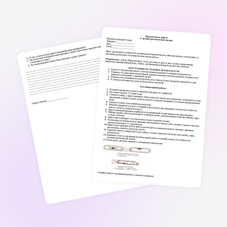 Лабораторная работа по биологии 6 класс