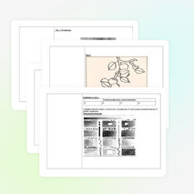 Комплексное задание к теме: "Графика и её выразительные средства" (6 класс).