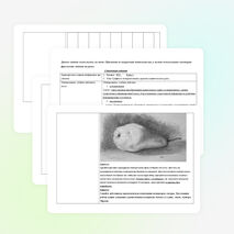 Комплексное задание к теме: "Графика и её выразительные средства" (6 класс).