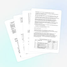 Рабочая программа по русскому языку 5 класс