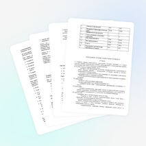 Рабочая программа по русскому языку 5 класс