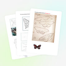 Методическая разработка урока по изобразительному искусству во 2 классе.