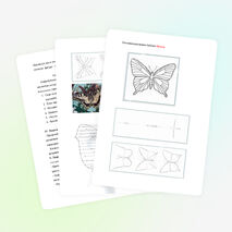 Методическая разработка урока по изобразительному искусству во 2 классе.