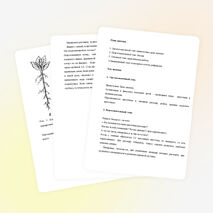 Конспект занятия "Пикировка цветочной рассады"