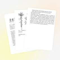 Конспект занятия "Пикировка цветочной рассады"