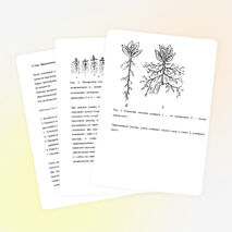 Конспект занятия "Пикировка цветочной рассады"