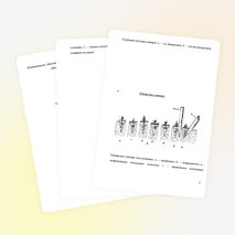 Конспект занятия "Пикировка цветочной рассады"