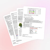 Конспект по математике на тему "Сложение отрицательных чисел" (6 класс)