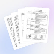 Логопедические приемы в практике учителя начальных классов