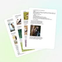 Разработка занятия в дополнительном образовании детей по теме: «Зимующие птицы. Получение изображения снегиря при помощи оттиска поролона».