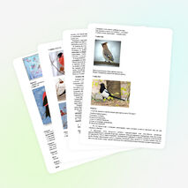 Разработка занятия в дополнительном образовании детей по теме: «Зимующие птицы. Получение изображения снегиря при помощи оттиска поролона».