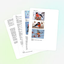 Разработка занятия в дополнительном образовании детей по теме: «Зимующие птицы. Получение изображения снегиря при помощи оттиска поролона».