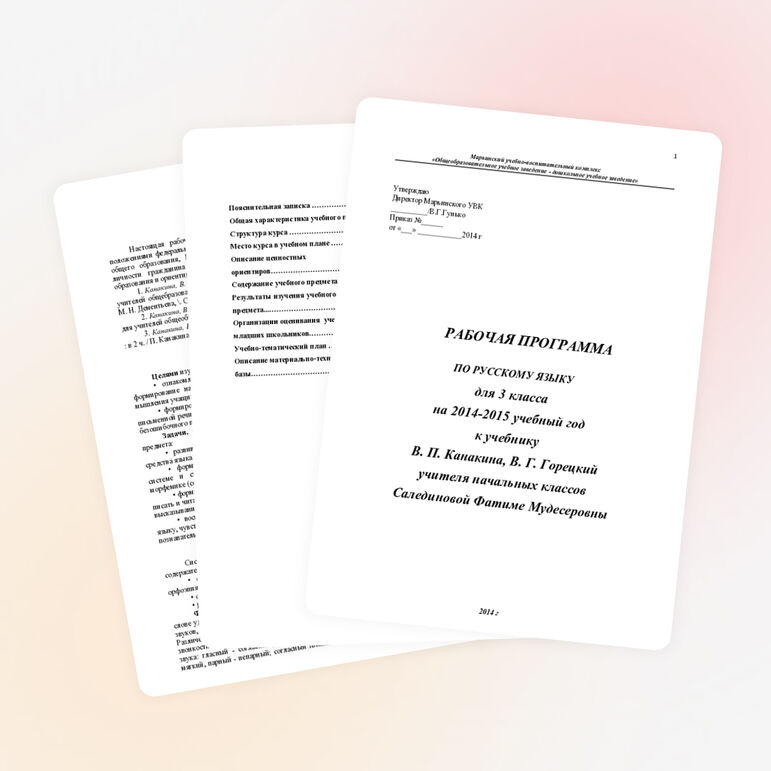 Рабочая программа по русскому языку 3 класс