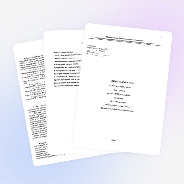 Рабочая программа по окружающему миру 3 класс