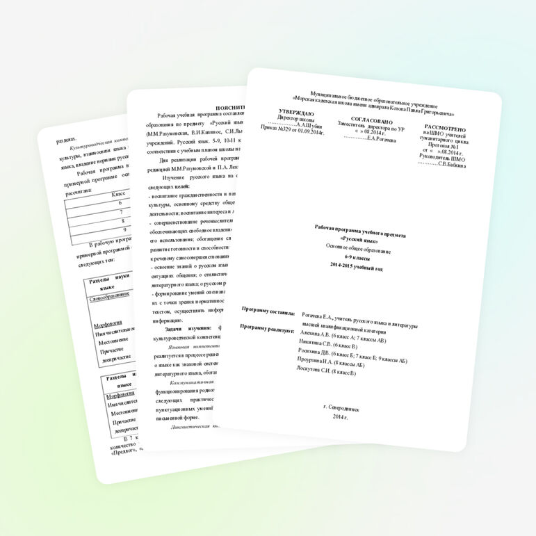 Рабочая программа по русскому языку 5-9 классы