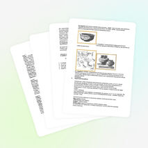 Разработка серии уроков по изобразительному искусству по теме: «Древние корни народного искусства»