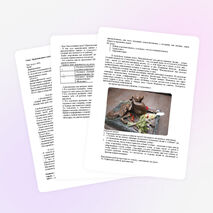 Урок по русскому языку на тему