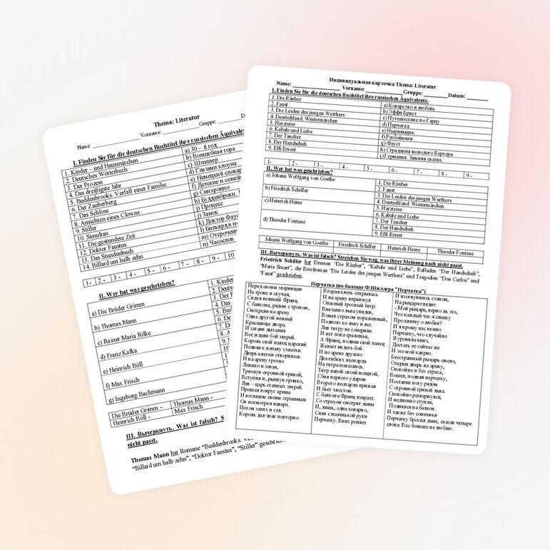 Индивидуальная карточка по немецкому языку по теме "Литература"