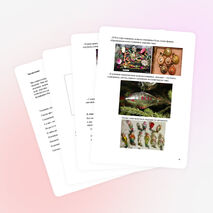 Социальный проект в начальной школе "Ёлочные игрушки"