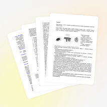 Методические рекомендации к проведению стартовой диагностики первоклассников по готовности к обучению