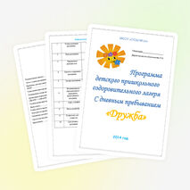 Программа детского пришкольного оздоровительного лагеря "Солнышко"