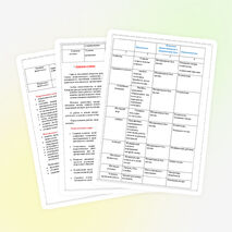 Программа детского пришкольного оздоровительного лагеря "Солнышко"