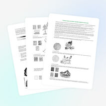 Рисунок тушью на уроках изобразительного искусства.