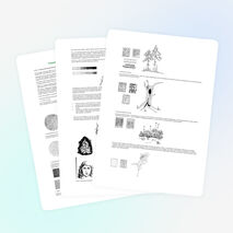 Рисунок тушью на уроках изобразительного искусства.