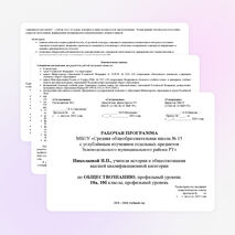 Рабочая программа по обществознанию, 10 класс (профильный уровень)