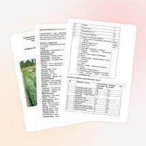 Паспорт пришкольного учебно-опытного участка